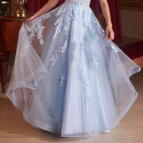 NEW A-LINE SLEEVELESS FORMAL TULLE DRESS EMBROIDERED WITH FLORAL LACE CD CM347 - Picture 10 of 10